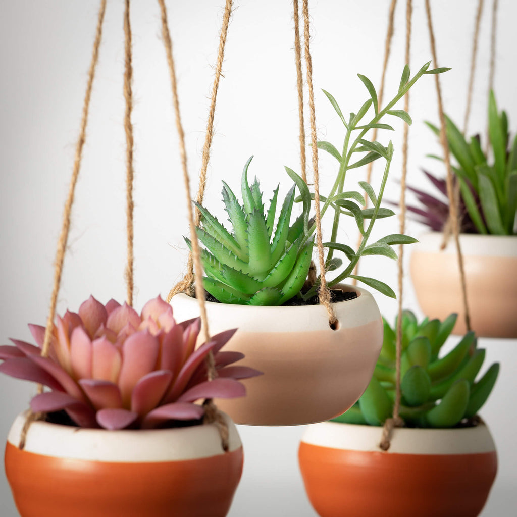 Hanging Succulents In Ceramic 