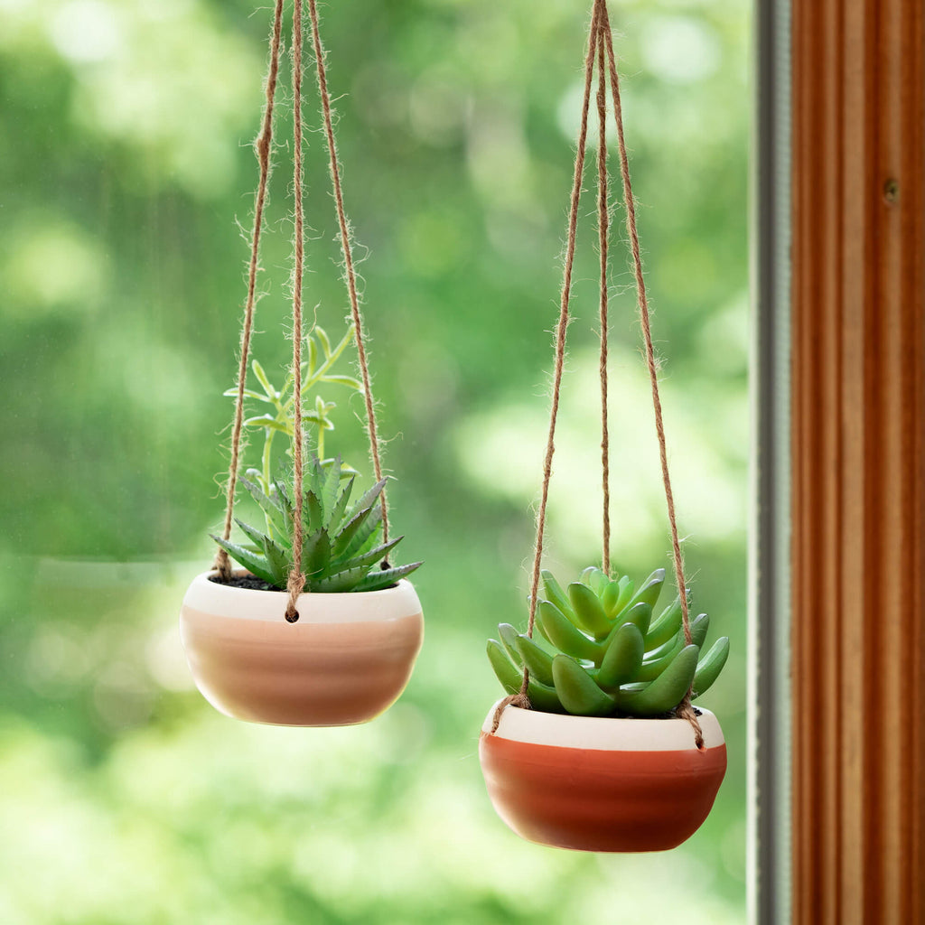 Hanging Succulents In Ceramic 