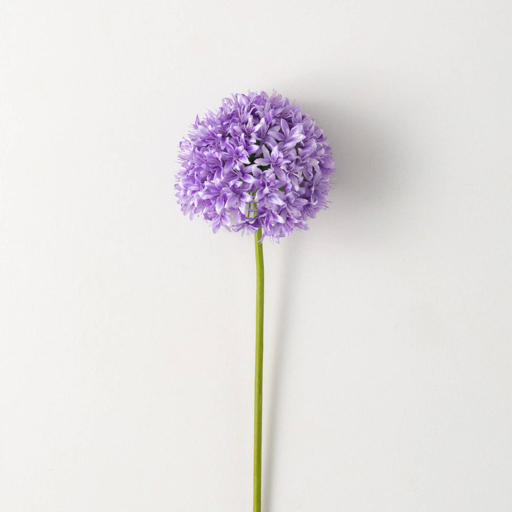 Lush Purple Allium Stem       