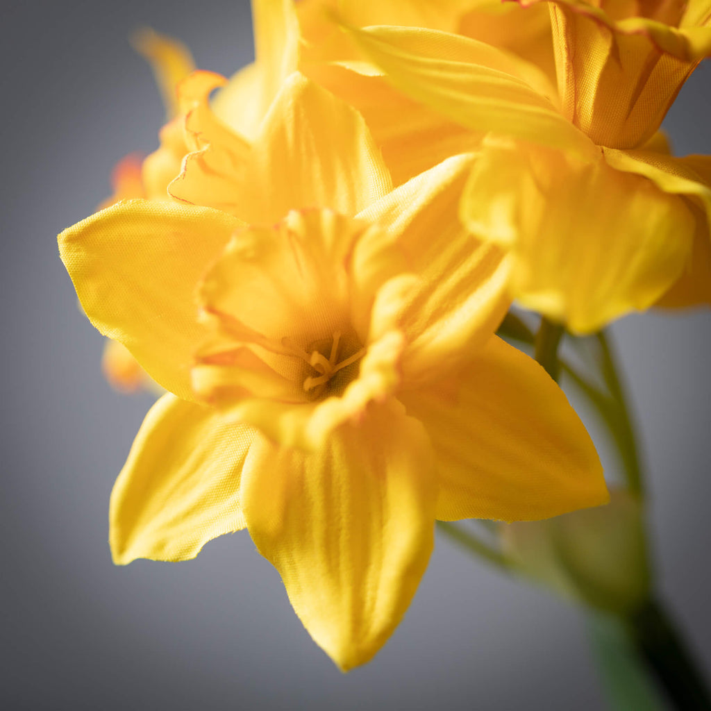 Yellow Daffodil Spring Spray  