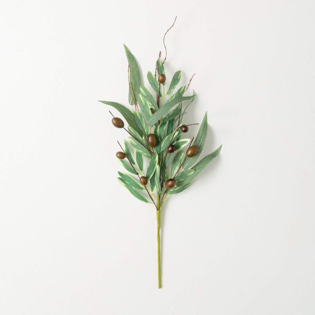Rustic Olive Leaf Pick        
