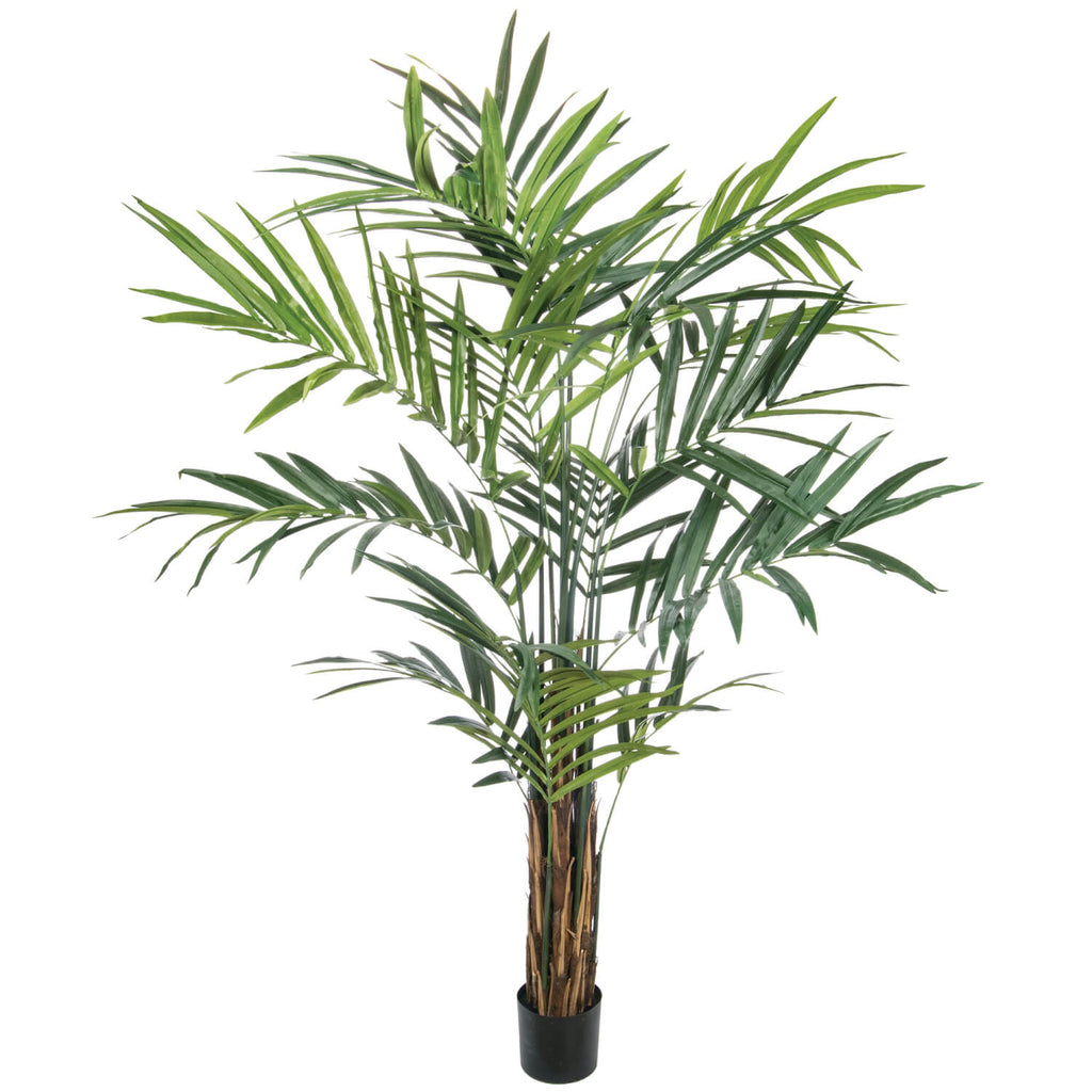 9'H Palm Tree                 