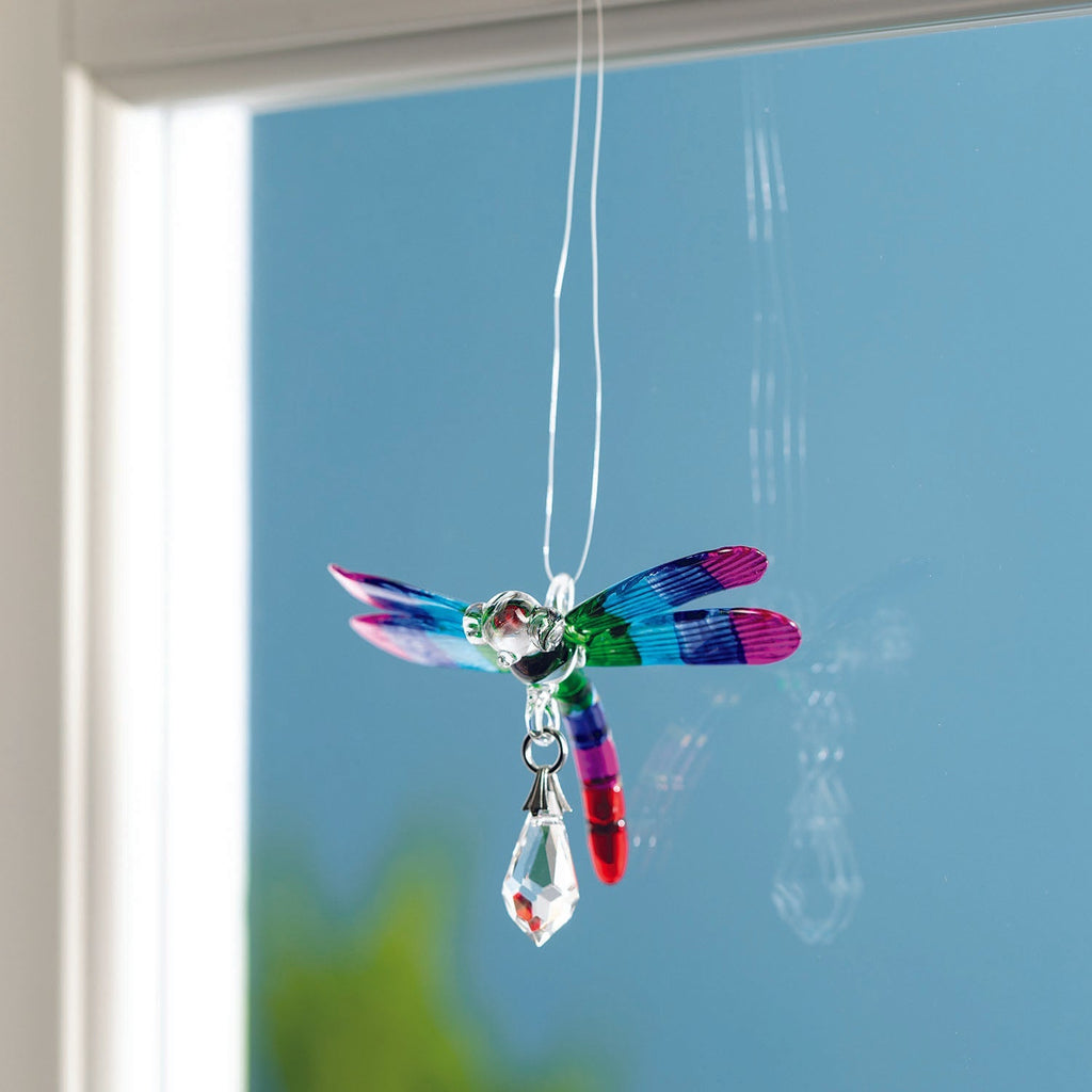 Fantasy Glass Suncatcher - Dragonfly, Summer Rainbow lifestyle image