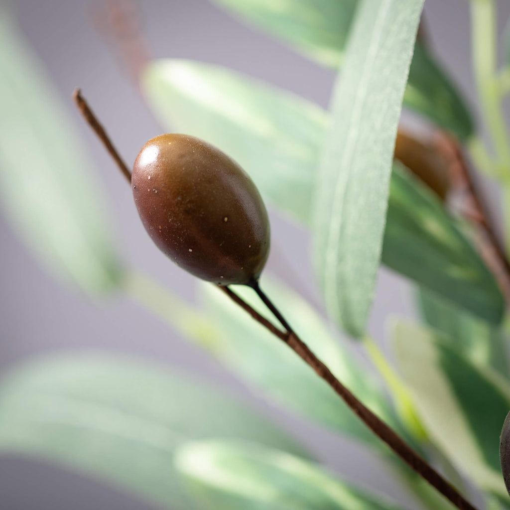 Olive Leaf Garland            