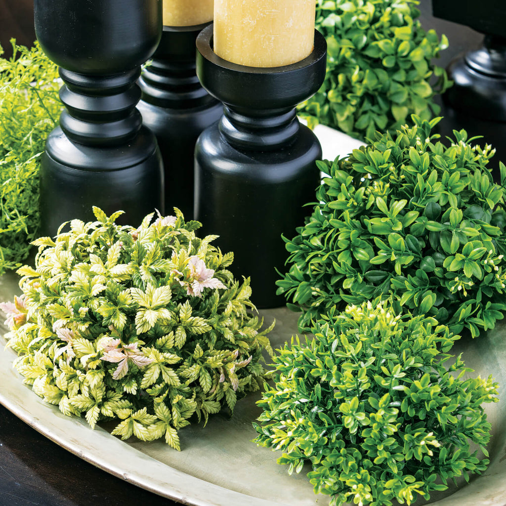 New England Boxwood Half Orb  