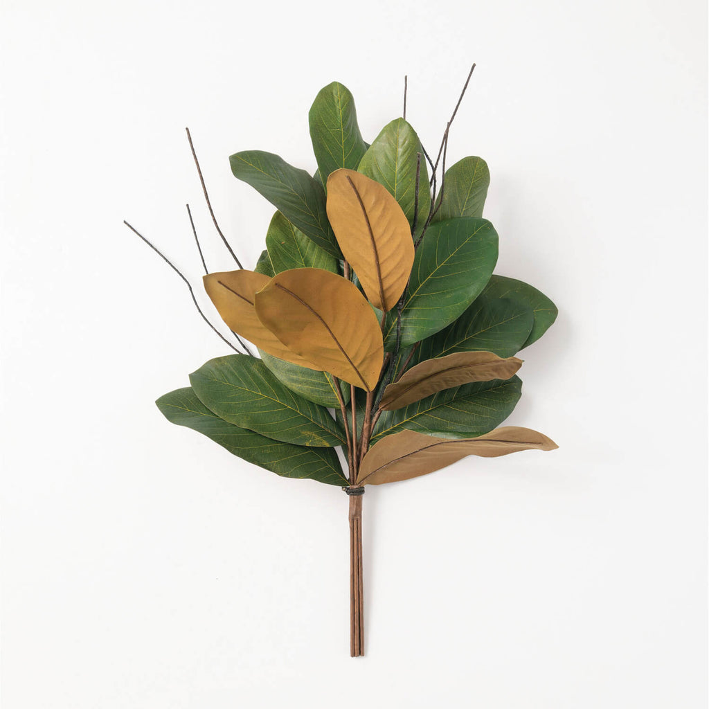 Magnolia Leaf Bush            