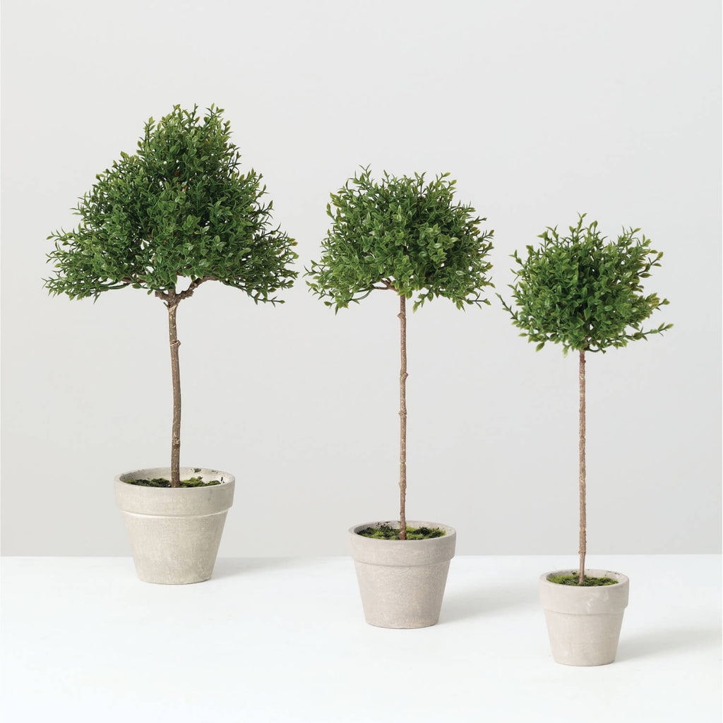 Tea Leaf Topiary Set Of 3     