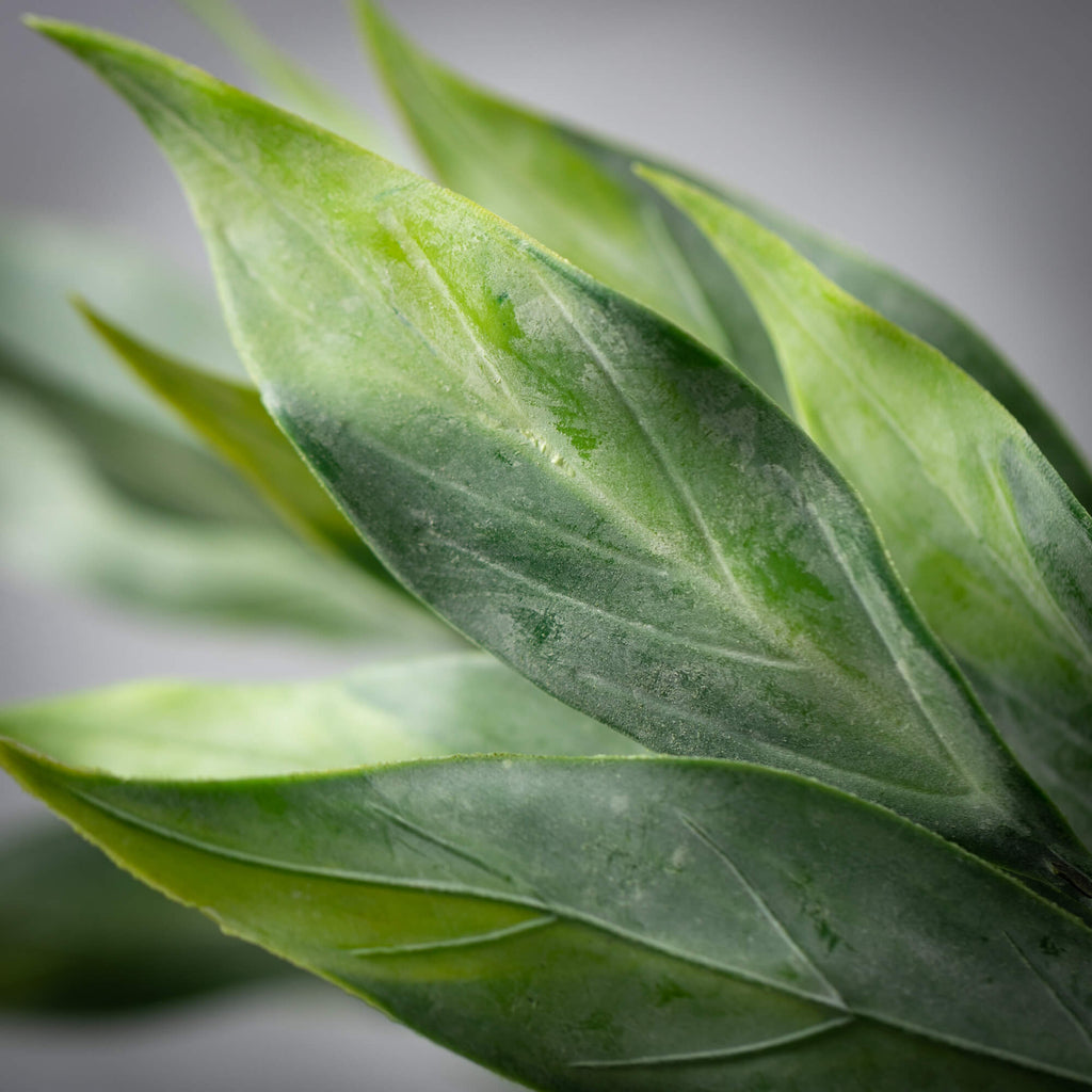 Frosted Green Leafy Stem      