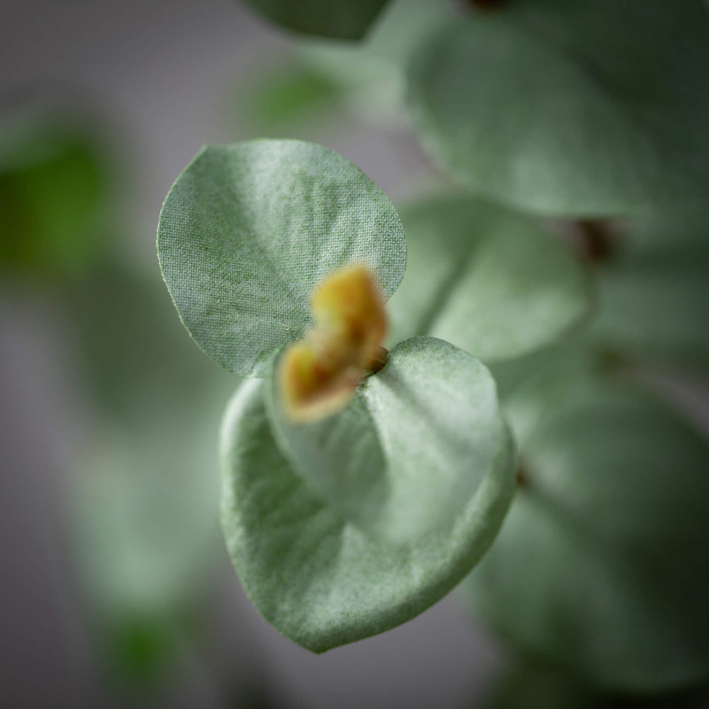 Tall Green Eucalyptus Spray   