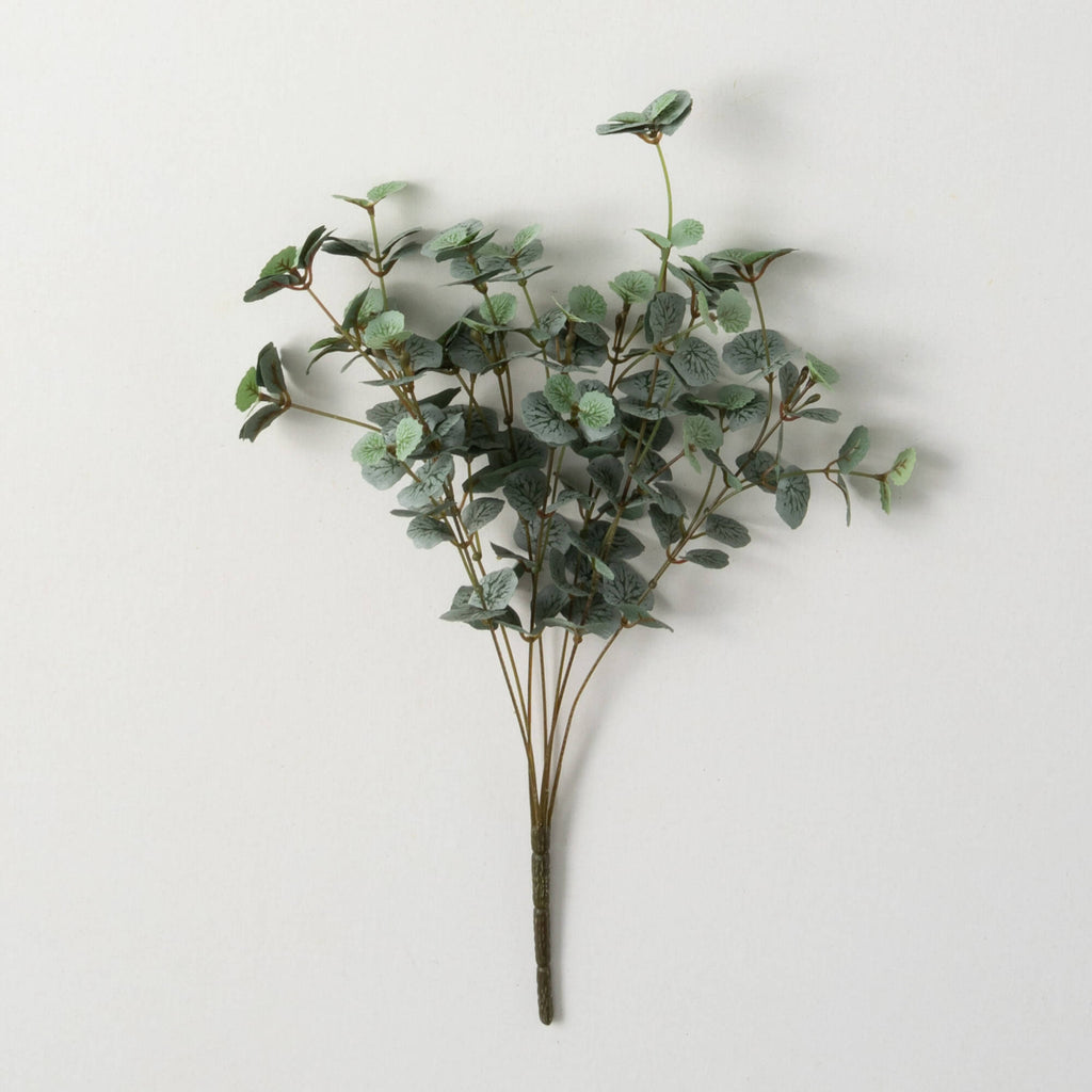 Gray Green Mini Begonia Bush  