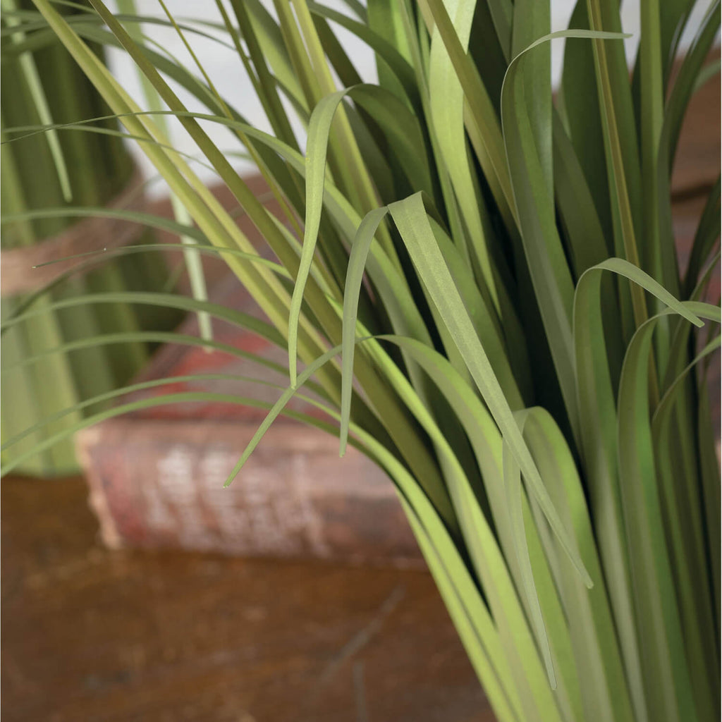 Grass Stand                   