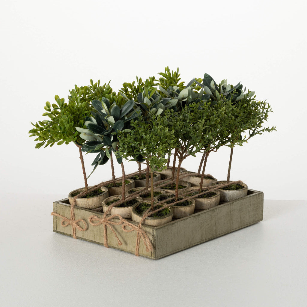 Rustic Potted Mini Tree       