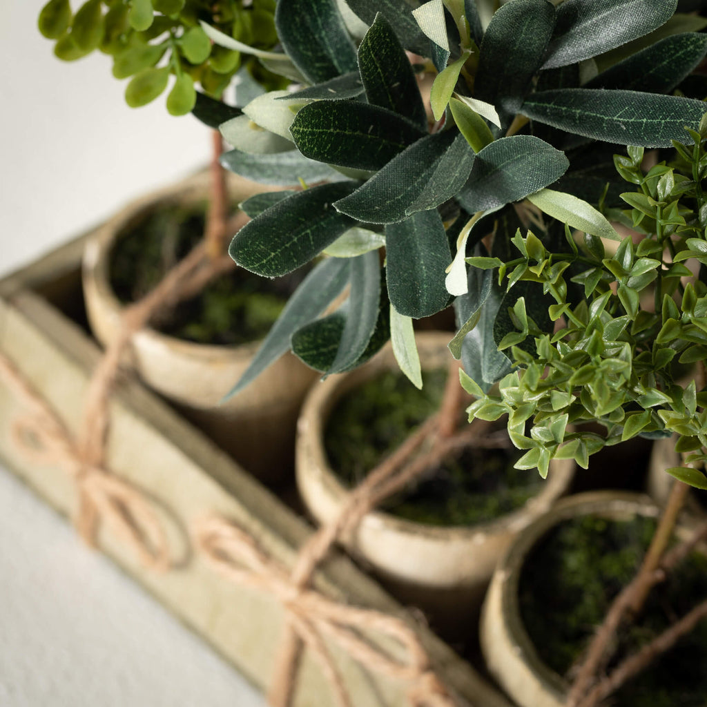 Rustic Potted Mini Tree       