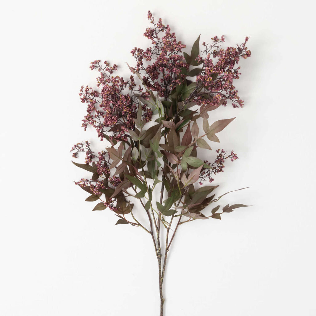 Dusty Plum-Colored Berry Bush 