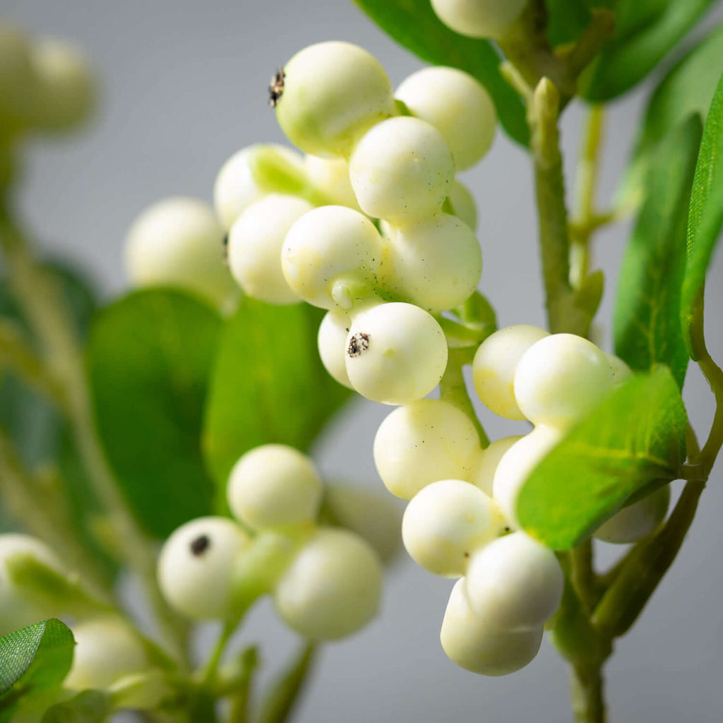 Creamy White Berry Stem       