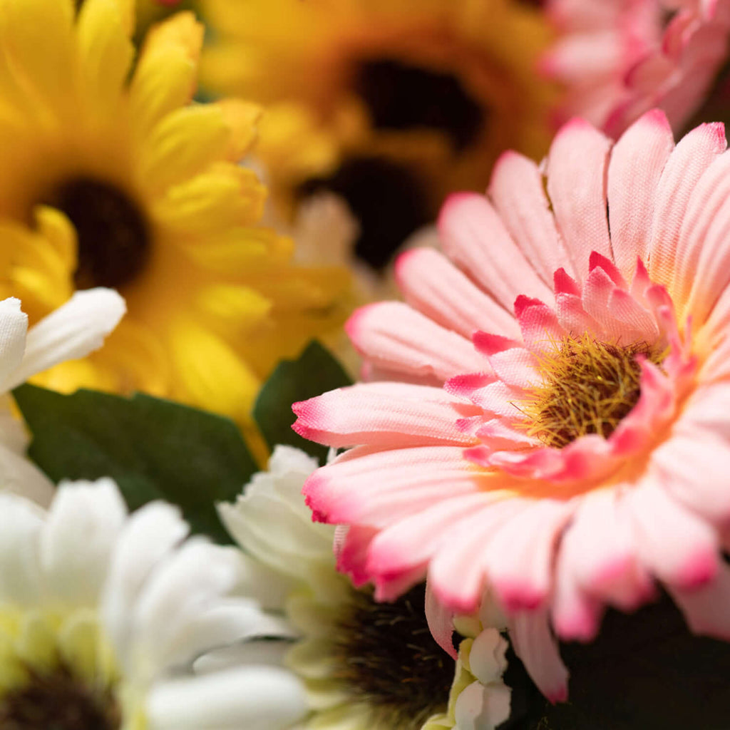 Bright Colored Daisy Bush Set 