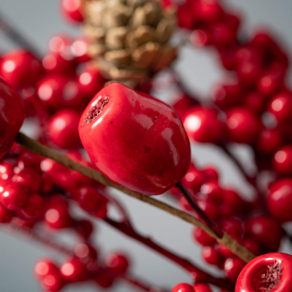 Red Berry Pod Pick            