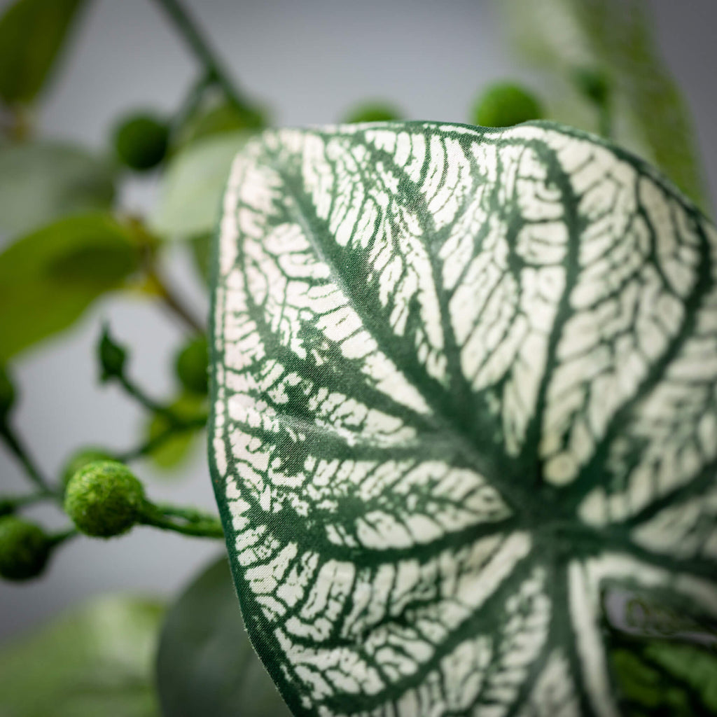 Caladium Eucalyptus Ring      