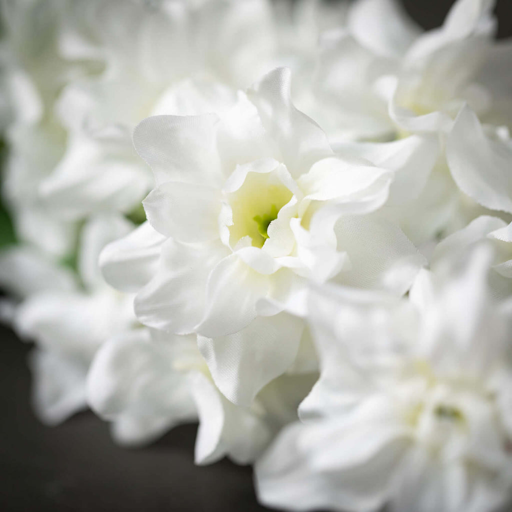 Bright White Delphinium Stem  
