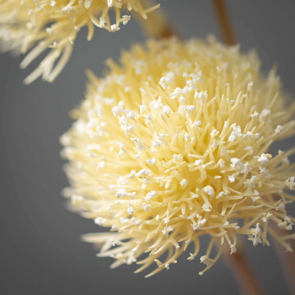 Faux Dried Allium Bud Spray   