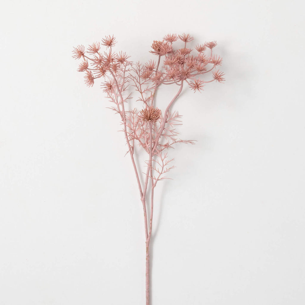 Pink Queen Anne Lace Stem     