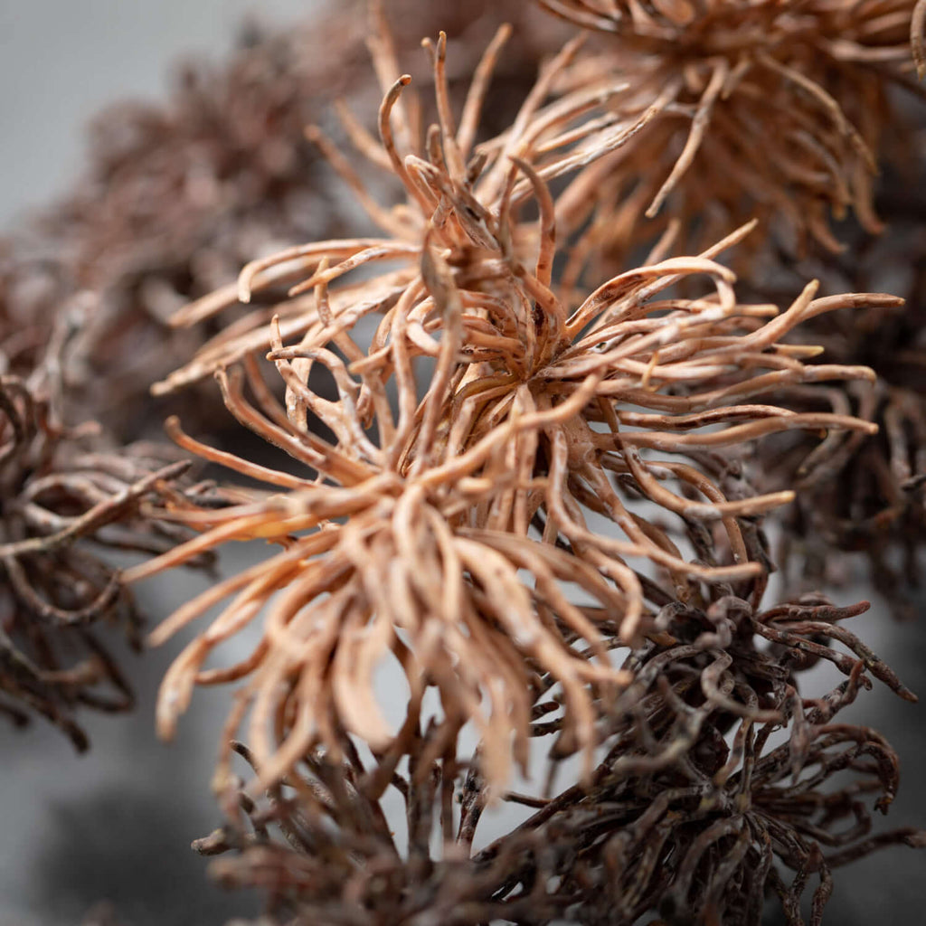 Faux-Dried Thistle Sprays     