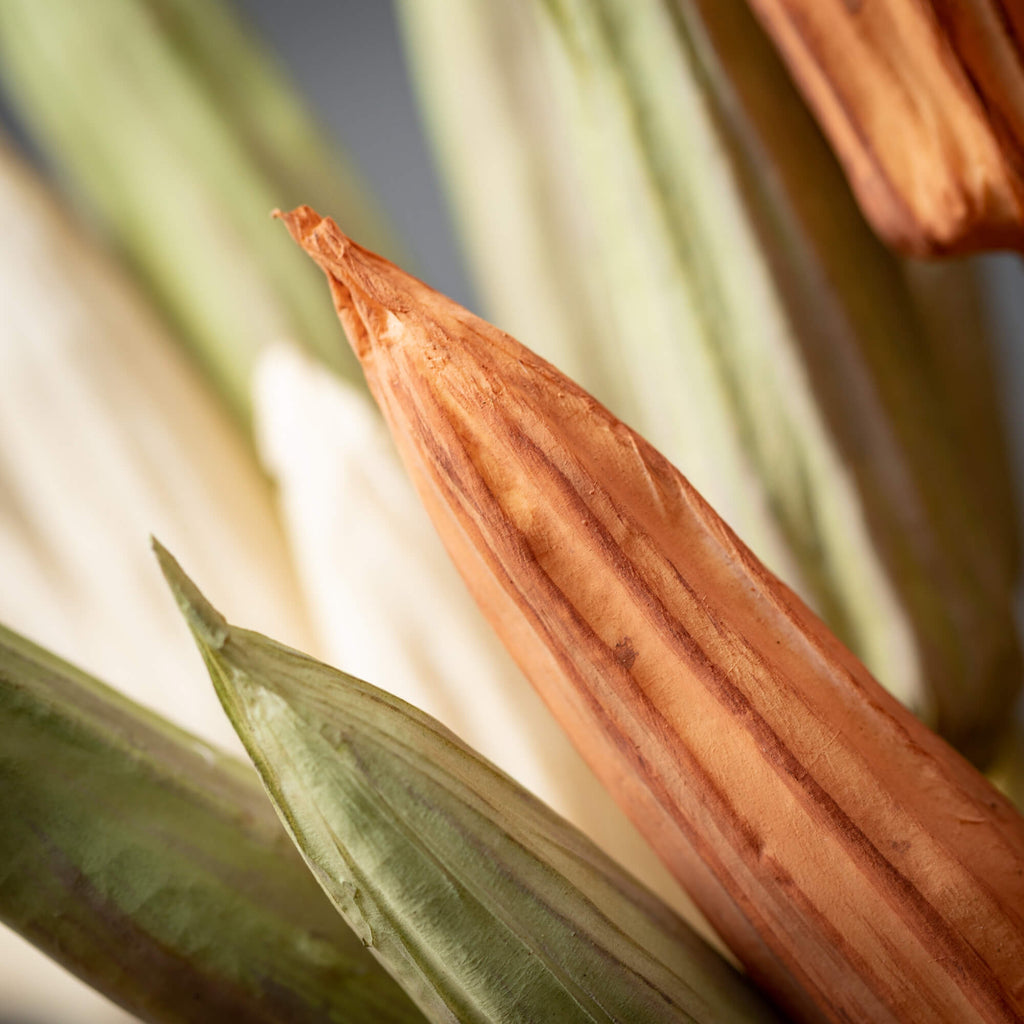 Fall Dried Okra Stem Trio     