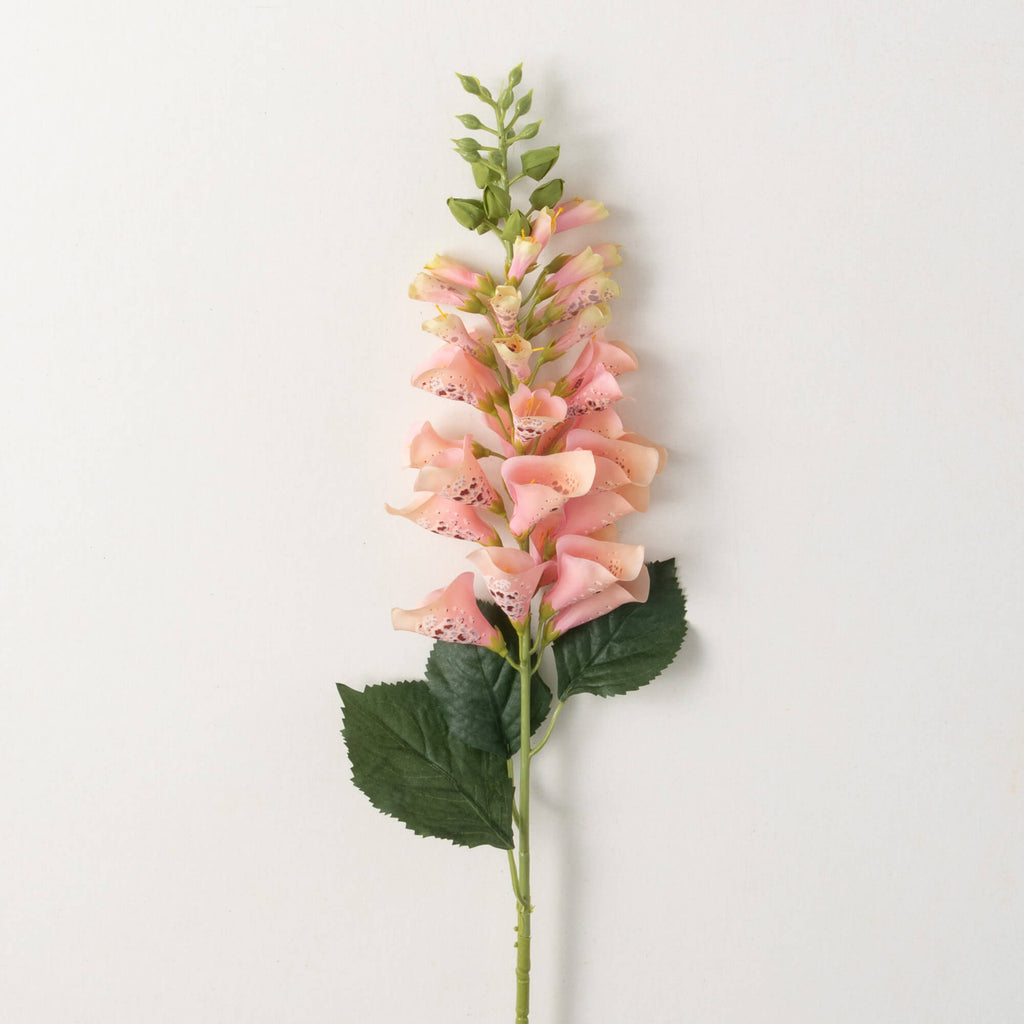 Foxglove Spray                