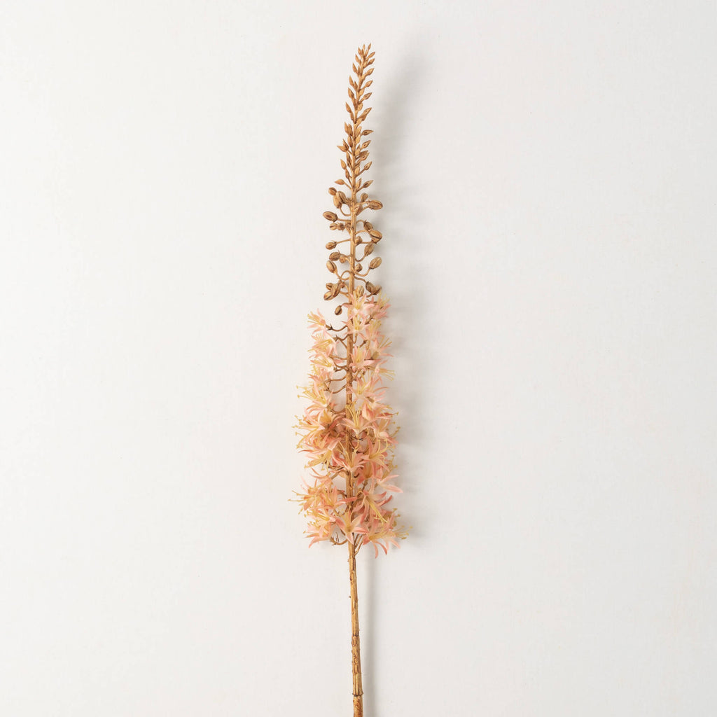 Eremurus Spray                