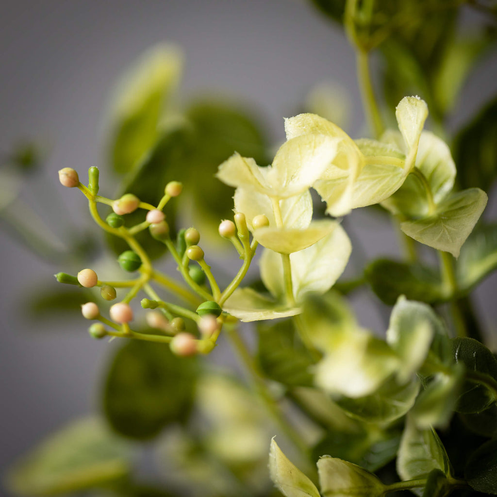 Eucalyptus & Mint Leaf Pick   