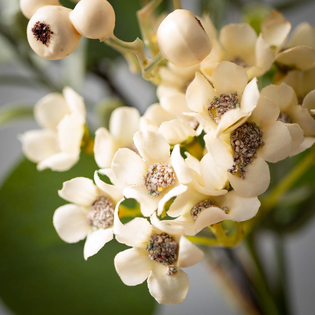 Eucalyptus & Waxflower Wreath 