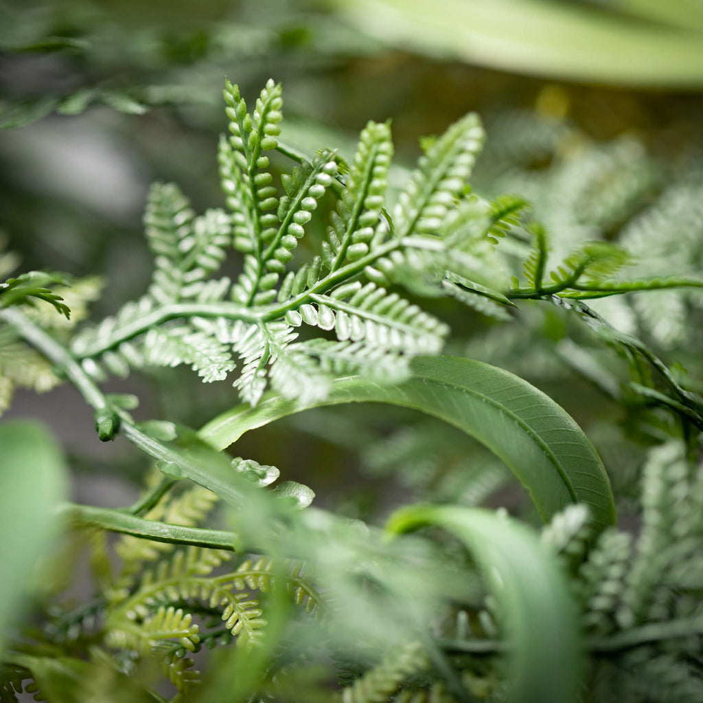 Draping Fern Frond Spray      