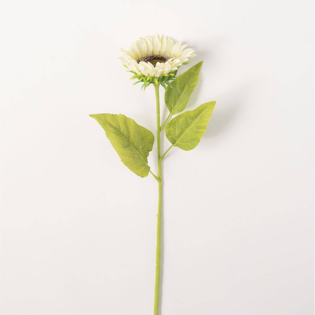 Sunflower Stem                