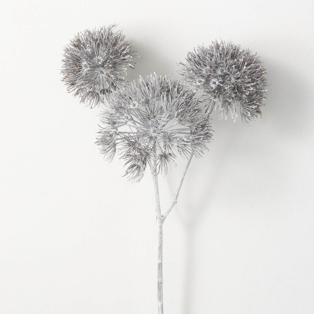 Triple Dusty Charcoal Allium  