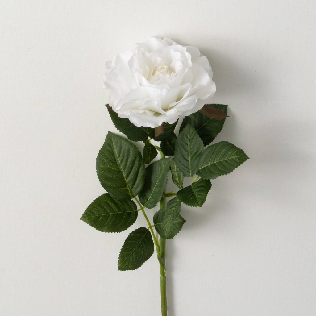 Freshcut® White Blooming Rose 