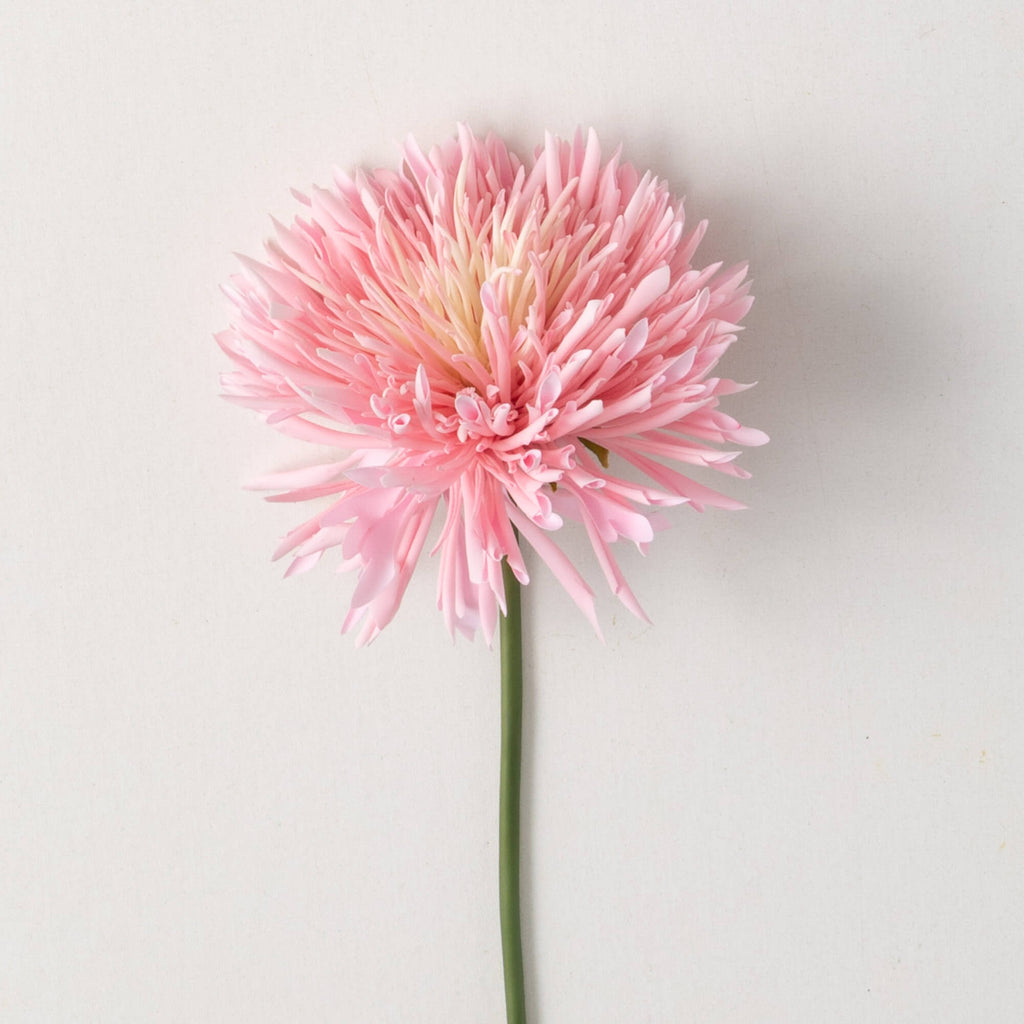 Pink Chrysanthemum Spring Spra