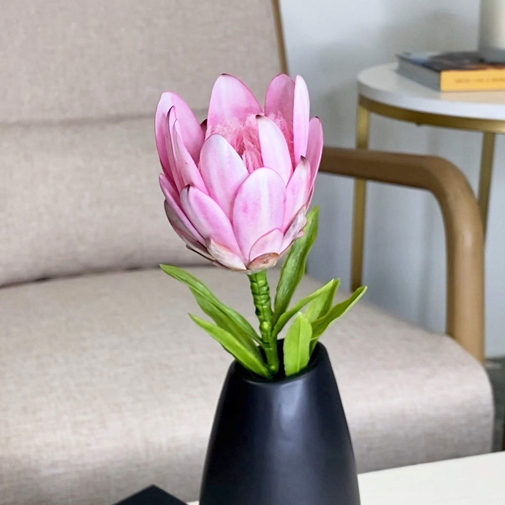 Fuchsia Pink Queen Protea     