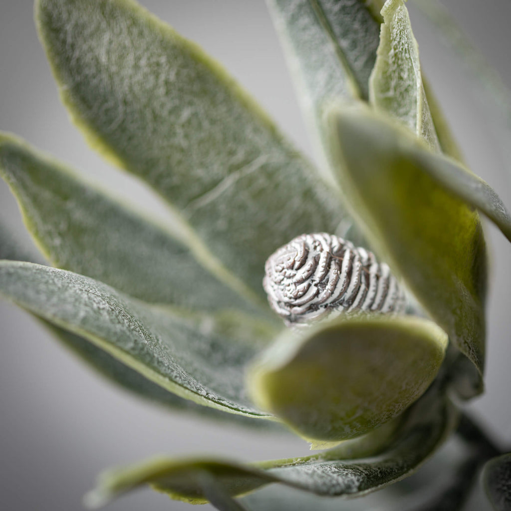 Subtle Dark Green Protea Spray