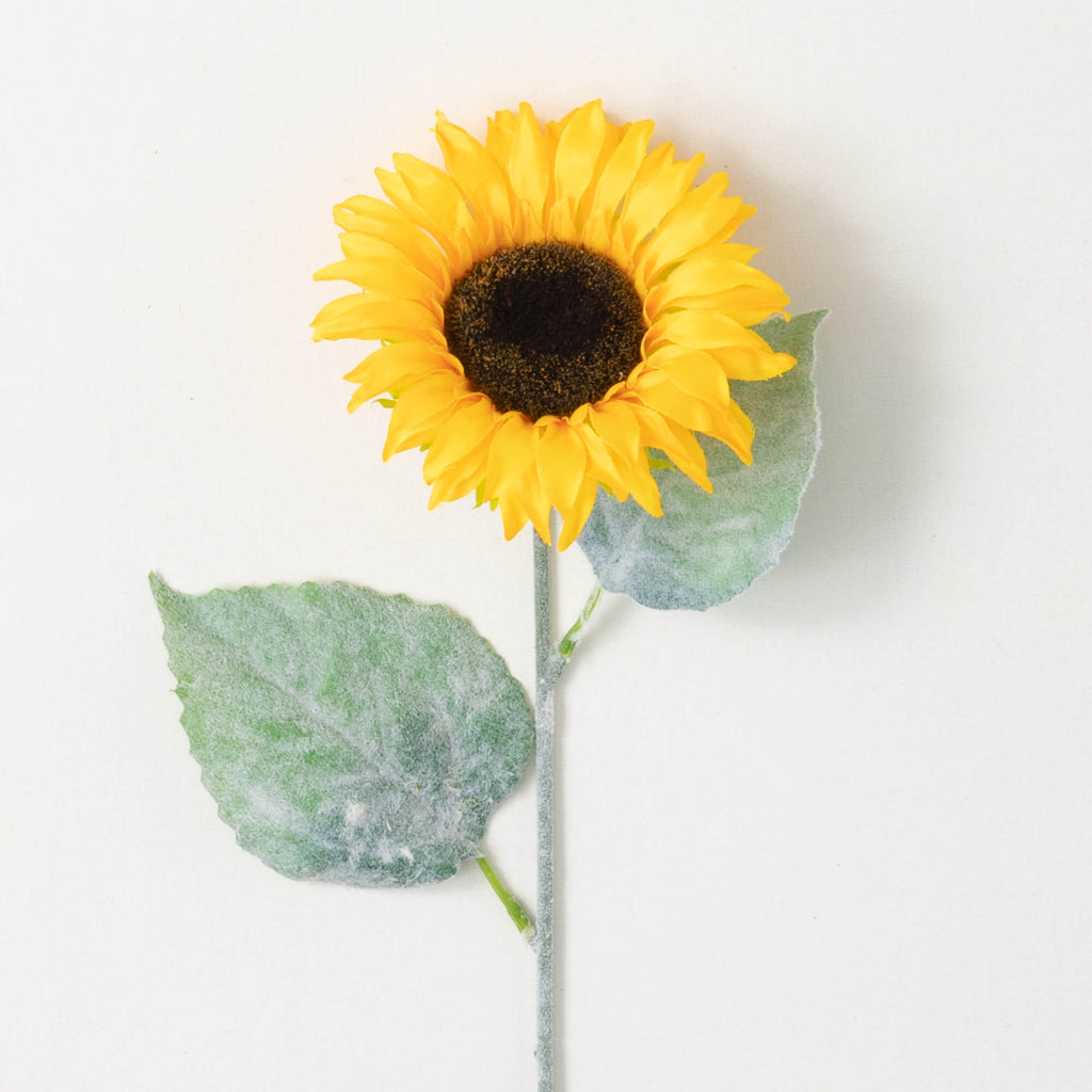 Bold Yellow Sunflower Stem    