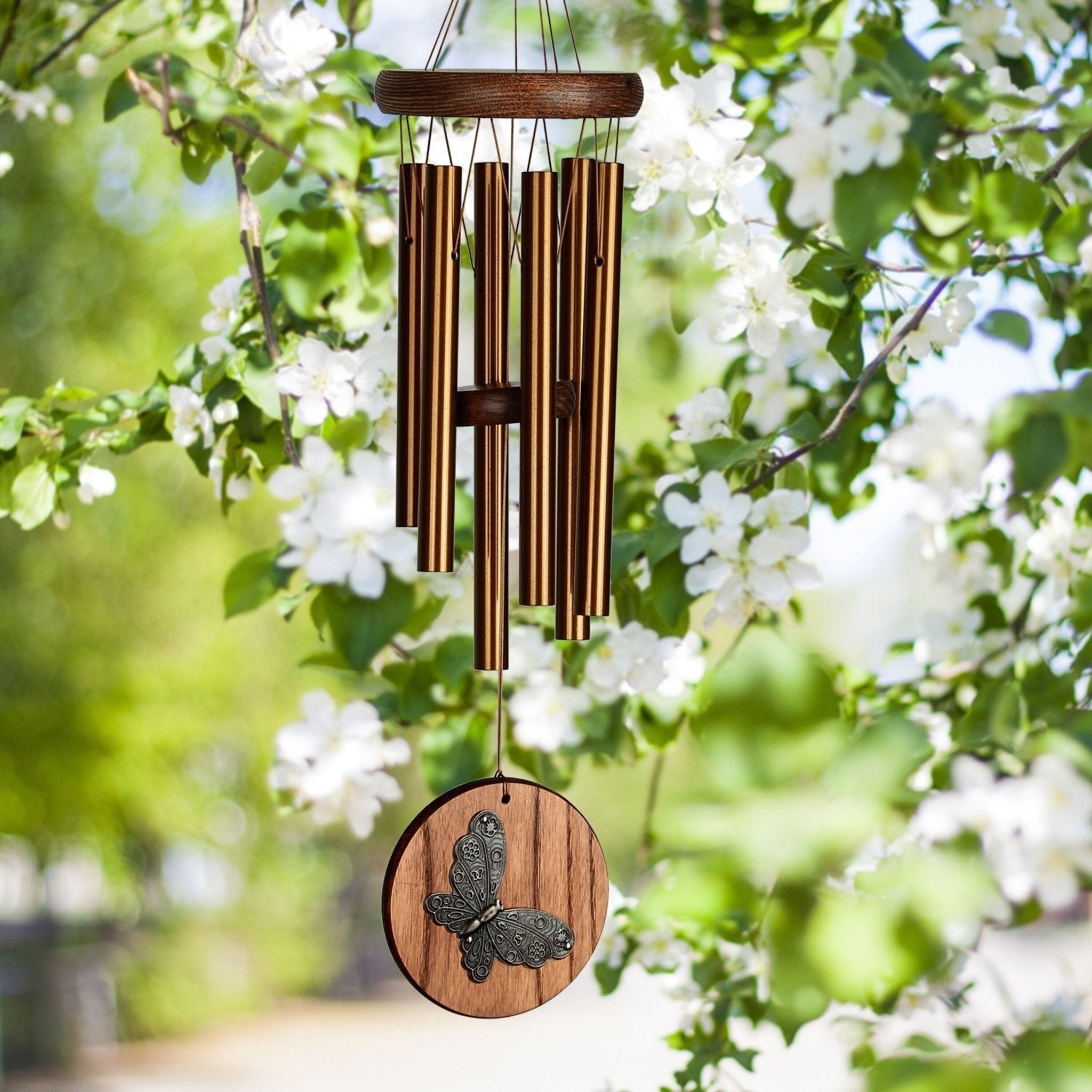 Habitats Teak Butterfly Small