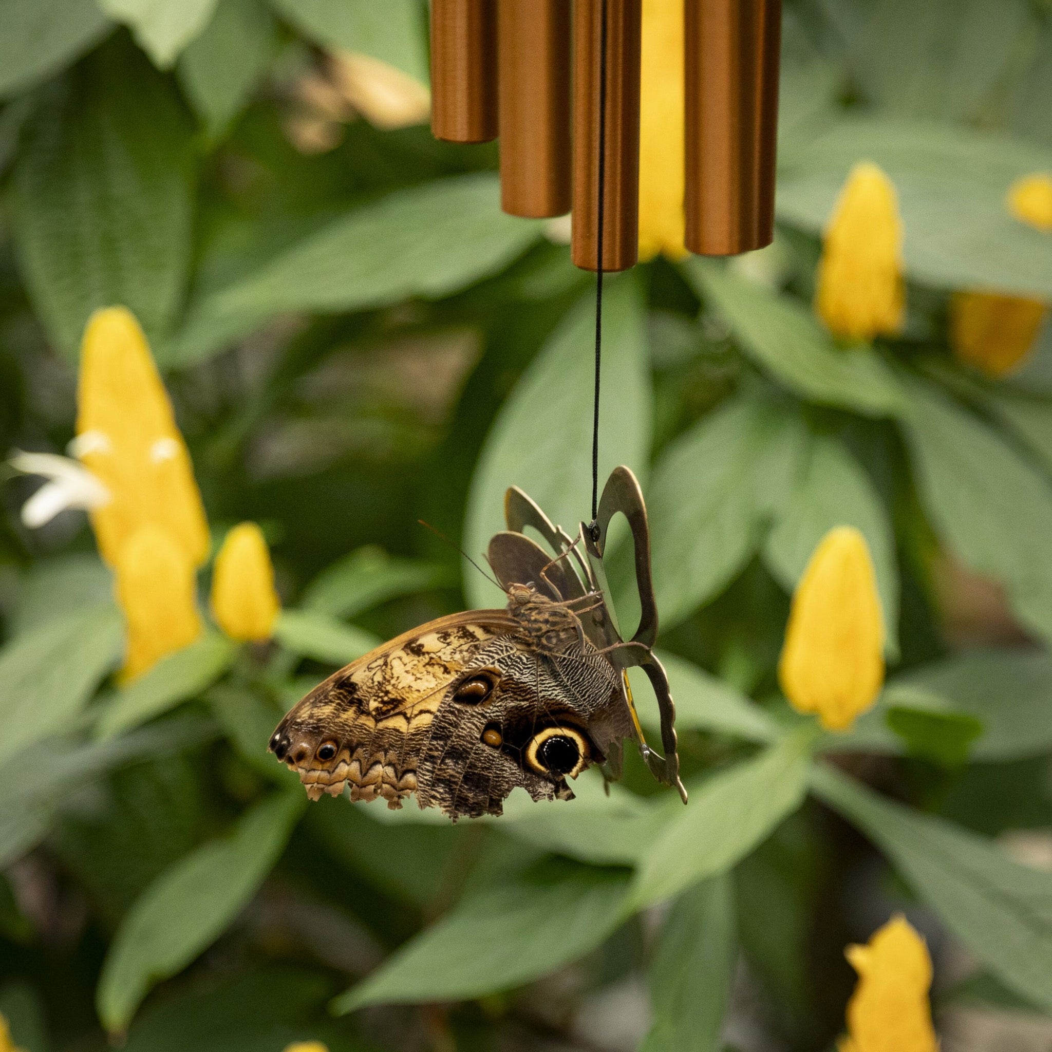 Woodstock My Butterfly Chime