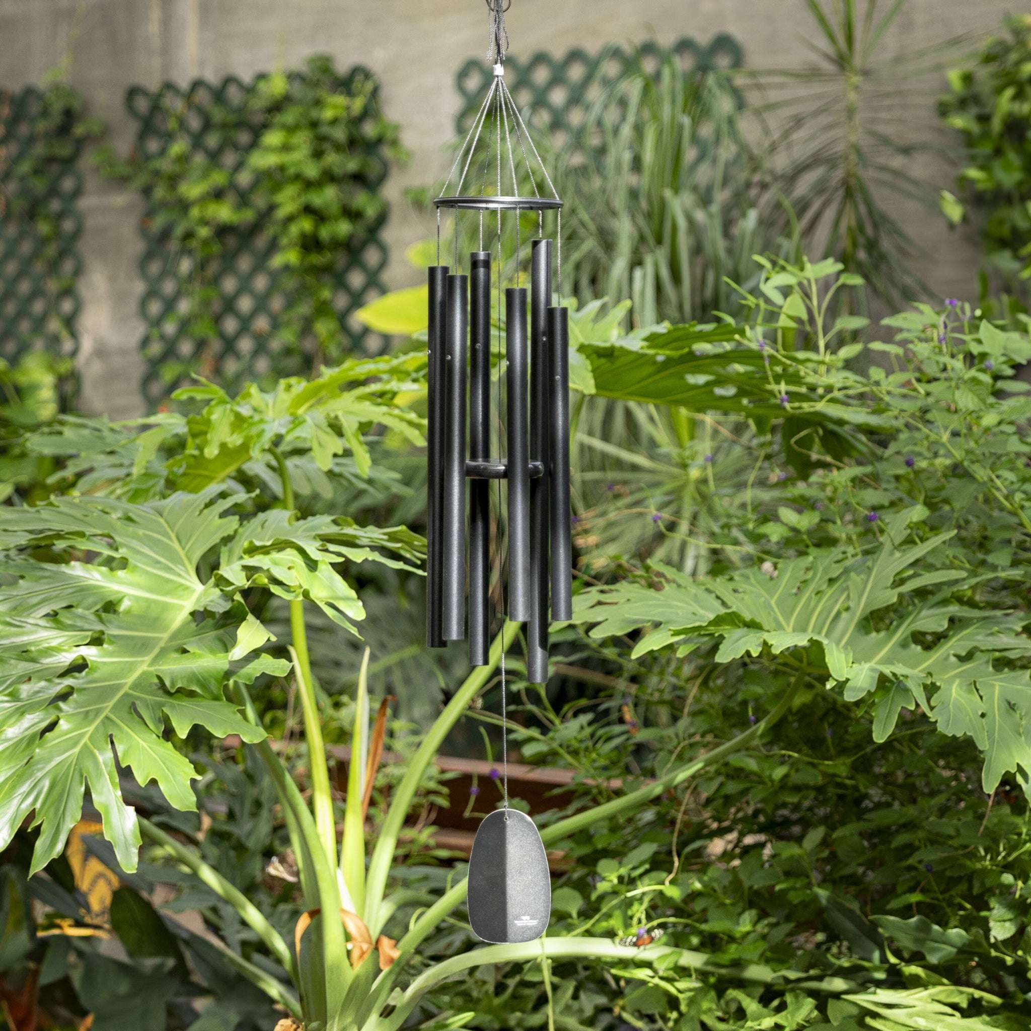 Bells of Paradise - Black 44