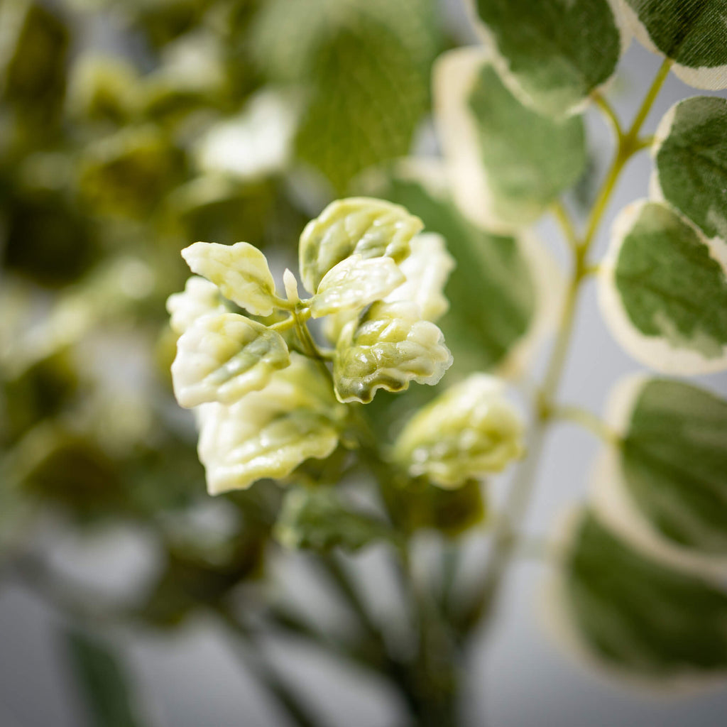 Foliage Botanical Pick        