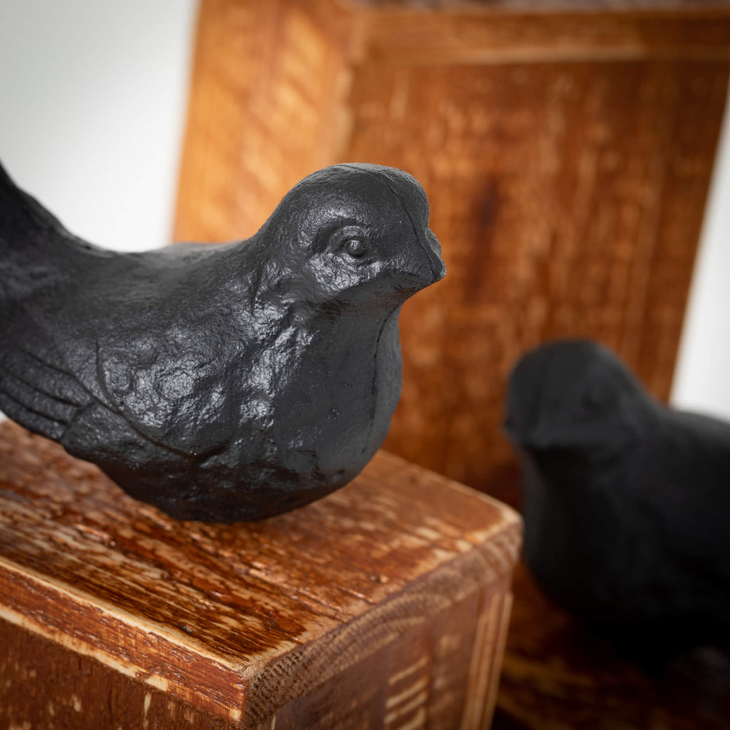 Metal & Wood Bird Sculptures  
