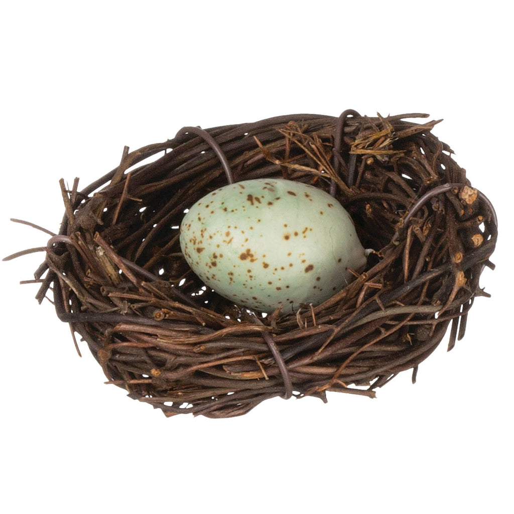 Birds Nest With Egg           