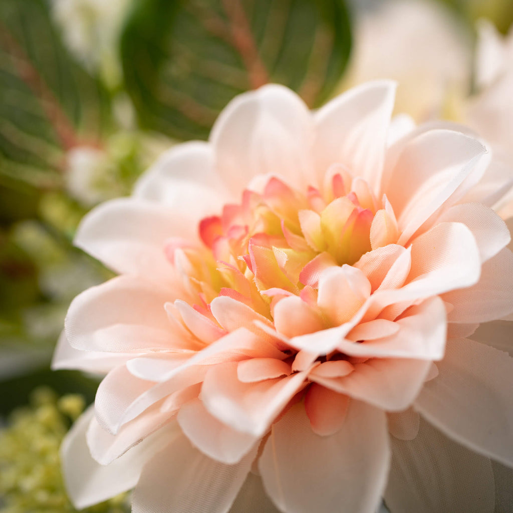 Blush Blossoming Peony Bush   