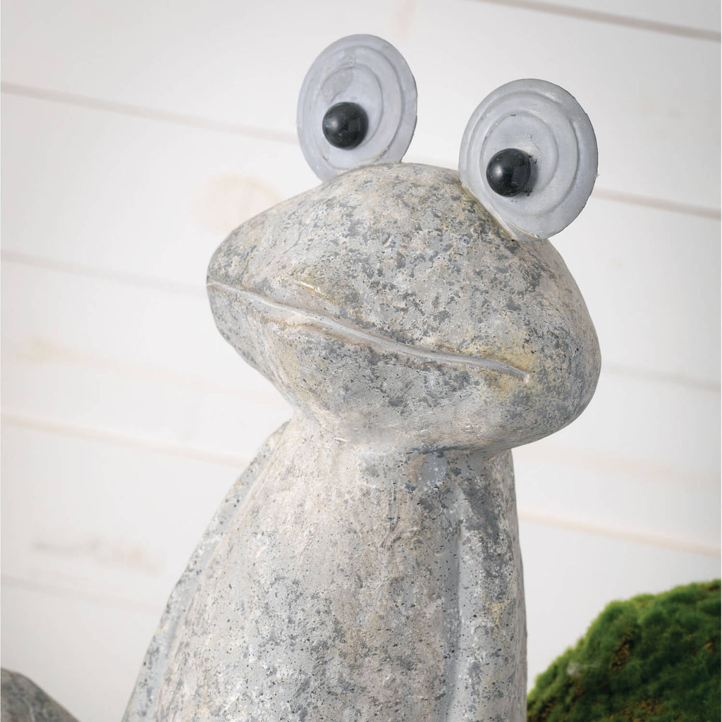 2' Big Eyed Frog Garden Statue
