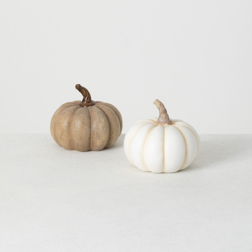 White & Brown Mini Pumpkin Set