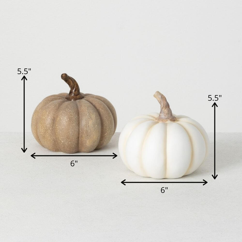 White & Brown Mini Pumpkin Set