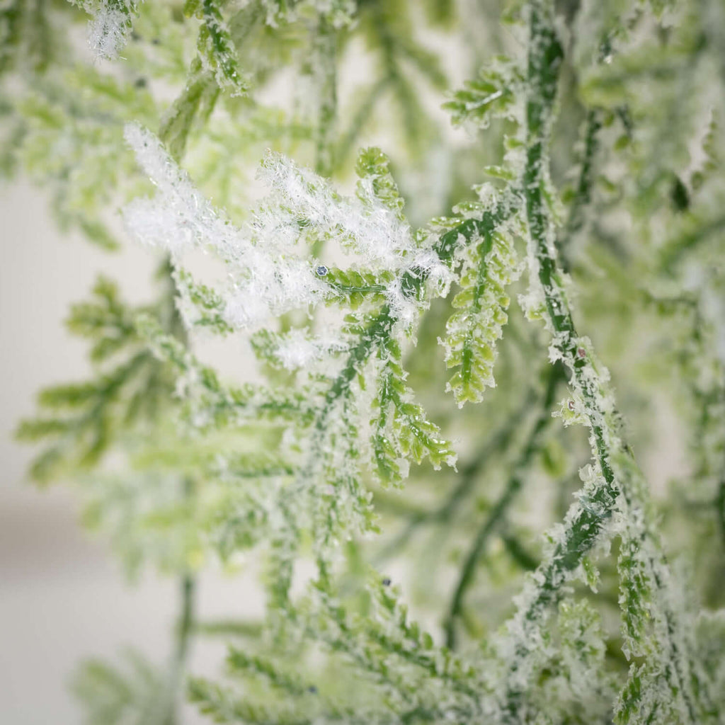 Frosted Fern Hanging Swag     